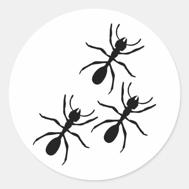 ant trail classic round sticker (Front)