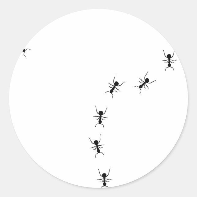 ant trail icon classic round sticker (Front)