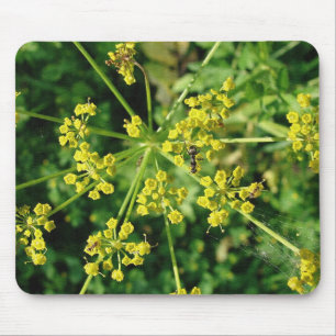 Ant, Web, and Yellow Mustard Flower Mouse Pad