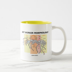 Ant Worker Morphology Two-Tone Coffee Mug