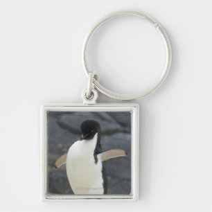 Antarctic Key Ring