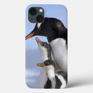 Antarctic Peninsula, Neko Harbour, Gentoo iPhone 13 Case