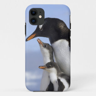 Antarctic Peninsula, Neko Harbour, Gentoo iPhone 11 Case
