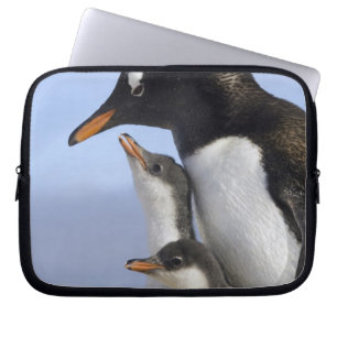 Antarctic Peninsula, Neko Harbour, Gentoo Laptop Sleeve