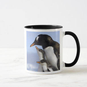 Antarctic Peninsula, Neko Harbour, Gentoo Mug