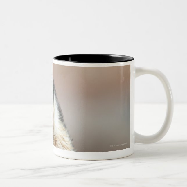 Antarctic Two-Tone Coffee Mug (Right)