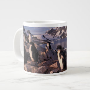Antarctica, Adelie penguin chicks Large Coffee Mug