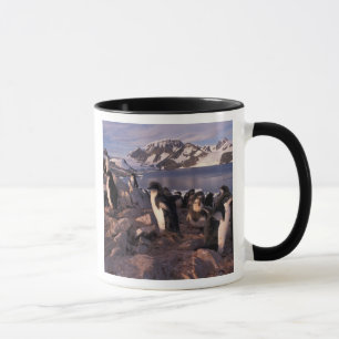 Antarctica, Adelie penguin chicks Mug