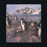 Antarctica, Adelie penguin chicks Notepad<br><div class="desc">COPYRIGHT Art Wolfe / DanitaDelimont.com | AN02 AWO0014.jpg | Antarctica,  Adelie penguin chicks</div>