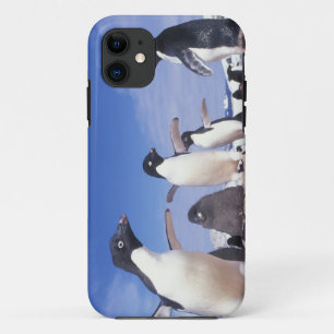 Antarctica, Adelie Penguin Pygoscelis iPhone 11 Case