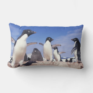 Antarctica, Adelie Penguin Pygoscelis Lumbar Cushion