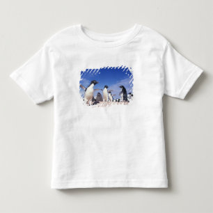 Antarctica, Adelie Penguin Pygoscelis Toddler T-Shirt