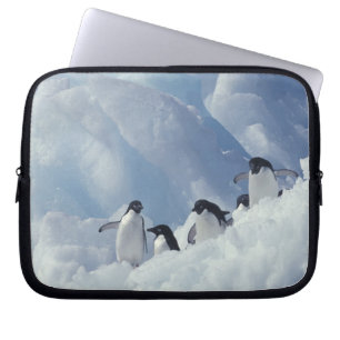 Antarctica. Adelie penguins Laptop Sleeve