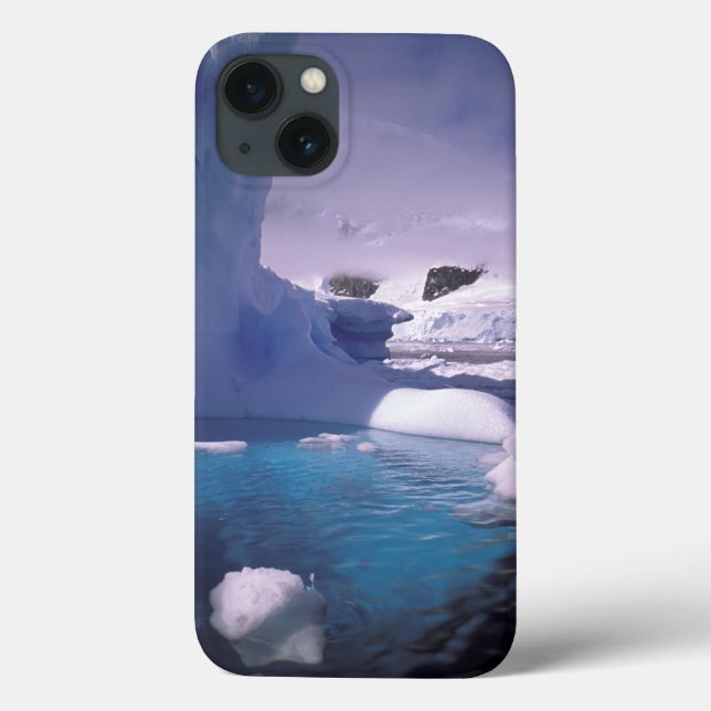 Antarctica. Antarctic icescapes 2 Case-Mate iPhone Case (Back)