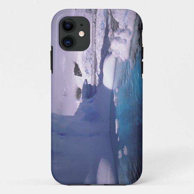 Antarctica. Antarctic icescapes 2 Case-Mate iPhone Case (Back)