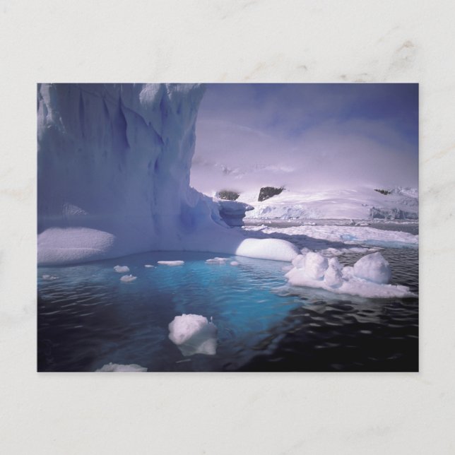 Antarctica. Antarctic icescapes 2 Postcard (Front)