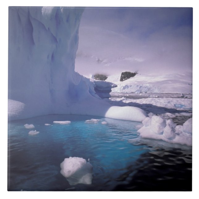 Antarctica. Antarctic icescapes 2 Tile (Front)