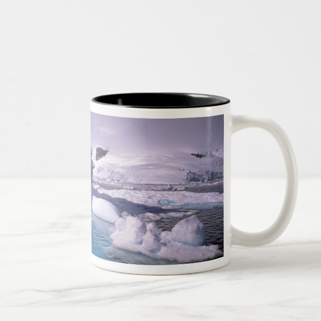 Antarctica. Antarctic icescapes 2 Two-Tone Coffee Mug (Right)