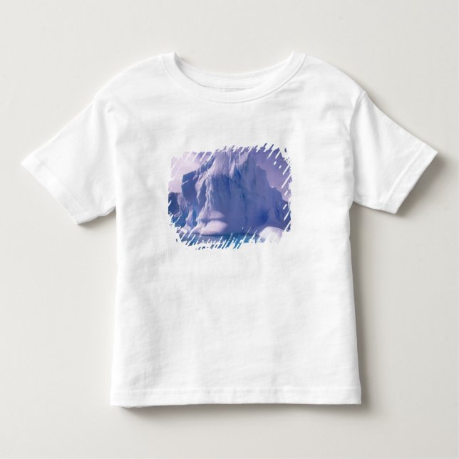 Antarctica. Antarctic icescapes Toddler T-Shirt (Front)