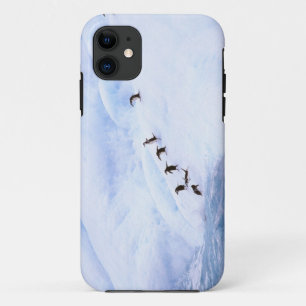 Antarctica, Antarctic Peninsula. Chinstrap iPhone 11 Case