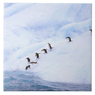 Antarctica, Antarctic Peninsula. Chinstrap Ceramic Tile