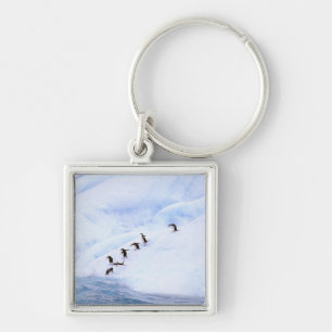 Antarctica, Antarctic Peninsula. Chinstrap Key Ring