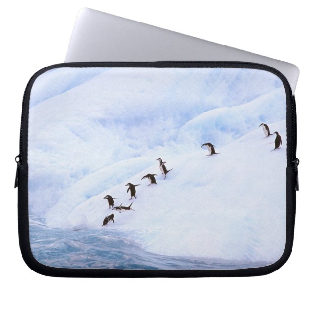Antarctica, Antarctic Peninsula. Chinstrap Laptop Sleeve (Front)