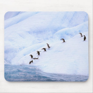 Antarctica, Antarctic Peninsula. Chinstrap Mouse Pad