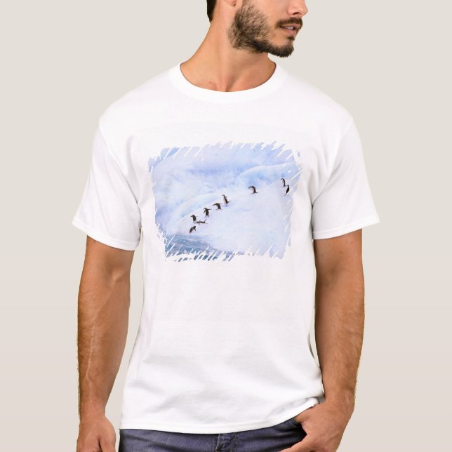 Antarctica, Antarctic Peninsula. Chinstrap T-Shirt (Front)