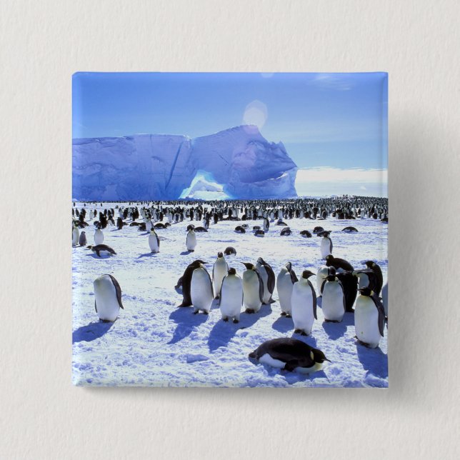 Antarctica, Antarctic Peninsula, Weddell Sea, 5 15 Cm Square Badge (Front)