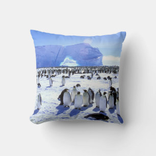 Antarctica, Antarctic Peninsula, Weddell Sea 5 Cushion
