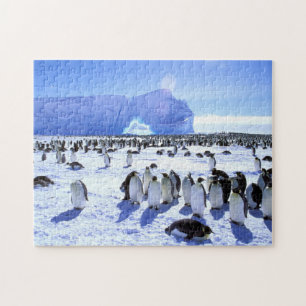 Antarctica, Antarctic Peninsula, Weddell Sea 5 Jigsaw Puzzle