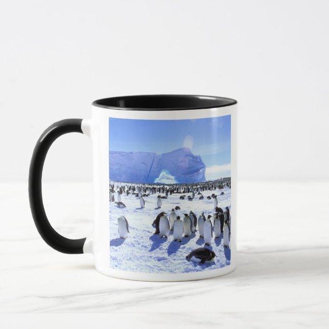 Antarctica, Antarctic Peninsula, Weddell Sea, 5 Mug (Left)