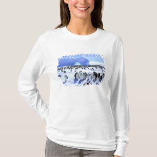 Antarctica, Antarctic Peninsula, Weddell Sea, 5 T-Shirt
