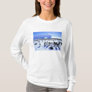 Antarctica, Antarctic Peninsula, Weddell Sea, 5 T-Shirt