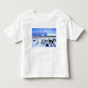 Antarctica, Antarctic Peninsula, Weddell Sea, 5 Toddler T-Shirt