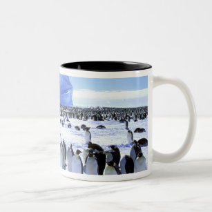 Antarctica, Antarctic Peninsula, Weddell Sea, 5 Two-Tone Coffee Mug