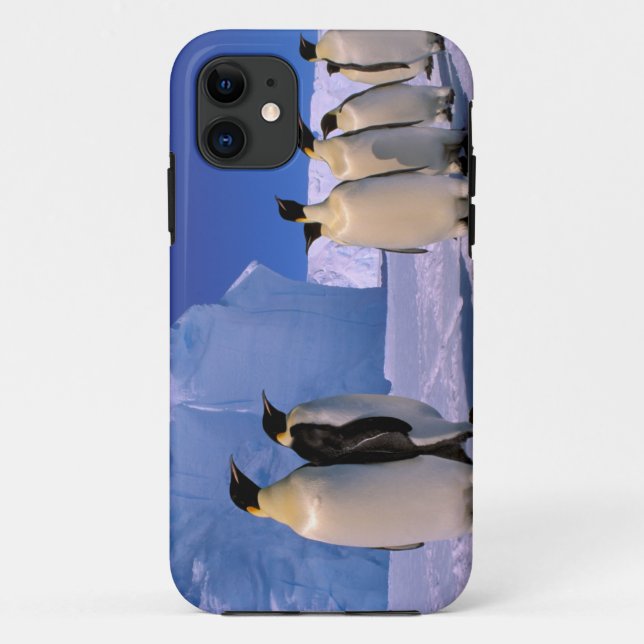 Antarctica, Australian Antarctic Territory, 7 Case-Mate iPhone Case (Back)