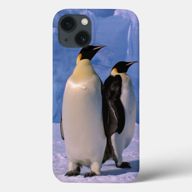 Antarctica, Australian Antarctic Territory, 7 Case-Mate iPhone Case (Back)