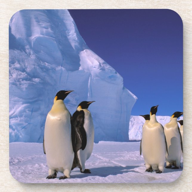 Antarctica, Australian Antarctic Territory, 7 Coaster (Front)