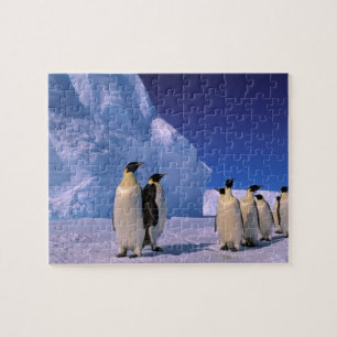 Antarctica, Australian Antarctic Territory, 7 Jigsaw Puzzle