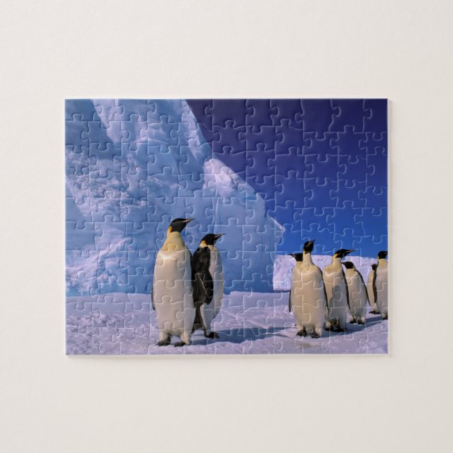 Antarctica, Australian Antarctic Territory, 7 Jigsaw Puzzle (Horizontal)