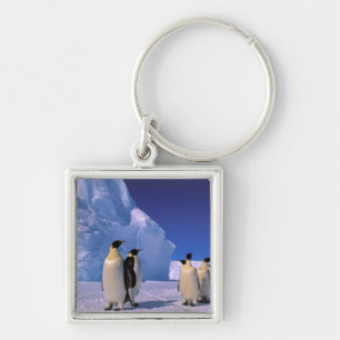 Antarctica, Australian Antarctic Territory, 7 Key Ring
