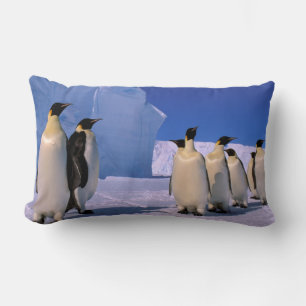 Antarctica, Australian Antarctic Territory, 7 Lumbar Cushion