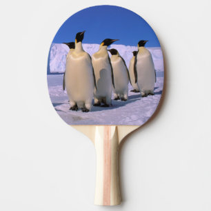 Antarctica, Australian Antarctic Territory, 7 Ping Pong Paddle