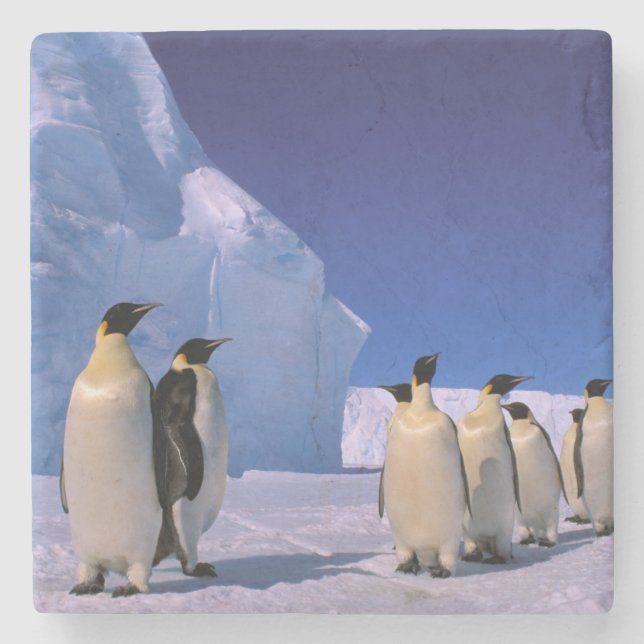 Antarctica, Australian Antarctic Territory, 7 Stone Coaster (Front)