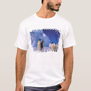Antarctica, Australian Antarctic Territory, 7 T-Shirt