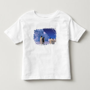 Antarctica, Australian Antarctic Territory, 7 Toddler T-Shirt