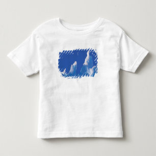 Antarctica, Australian Antarctic Territory. Toddler T-Shirt