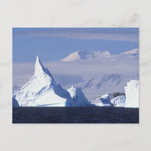 Antarctica, Boothe Island, Afternoon sun Postcard (Front)